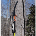 Telescoping Pole with Pruner and Saw Blade 