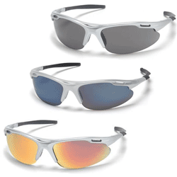 Avante Silver Frame Safety Glasses